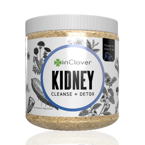 inClover BioRen Kidney Health