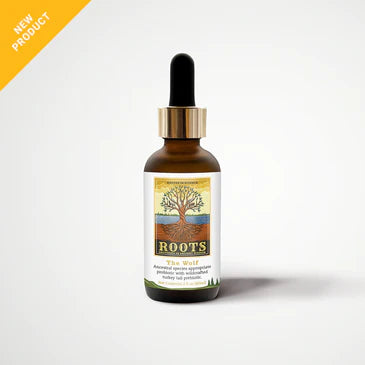 Adored Beast The Wolf Species Appropriate Probiotic
