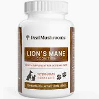 Real Mushrooms - Lion’s Mane