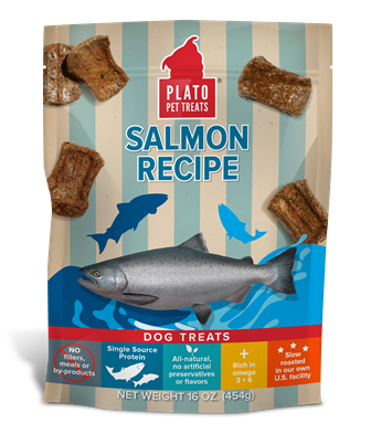 Plato Salmon Recipe