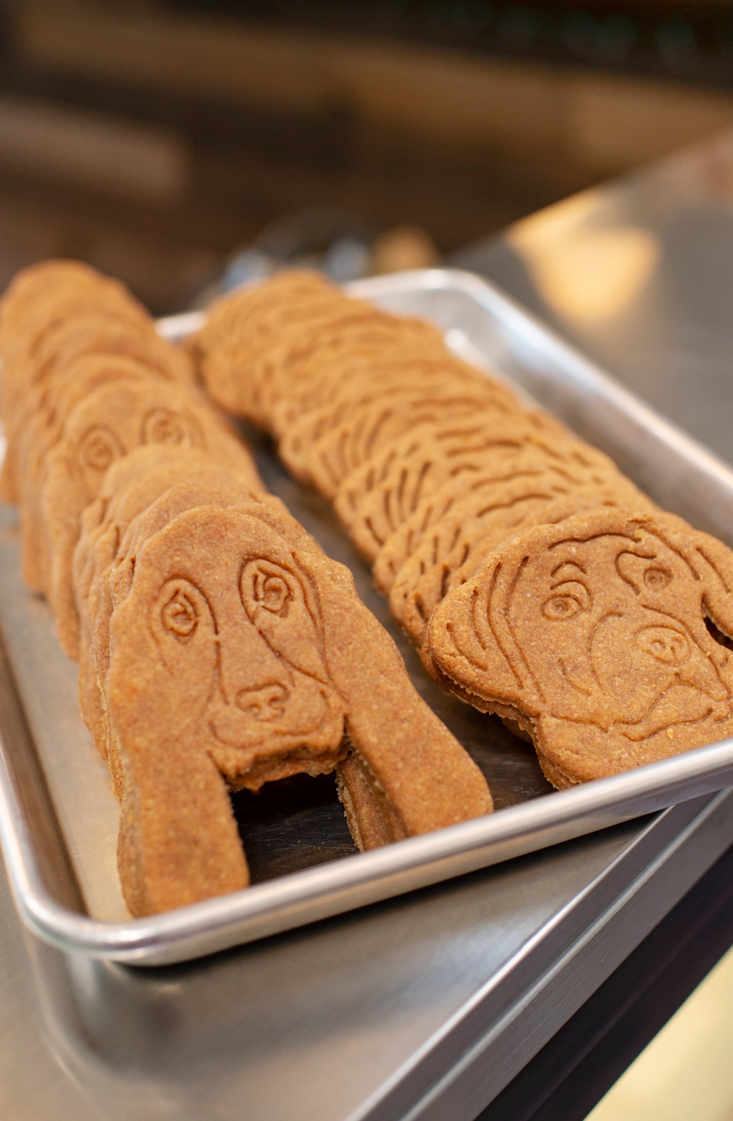 Signature Basset and Lab Cookies