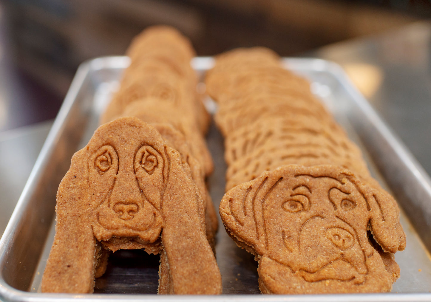Signature Basset and Lab Cookies