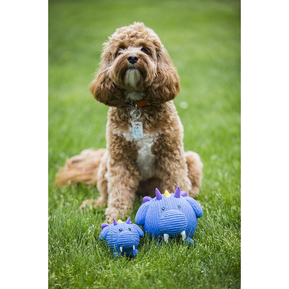 Hugglehounds Dragon Ruff-Tex