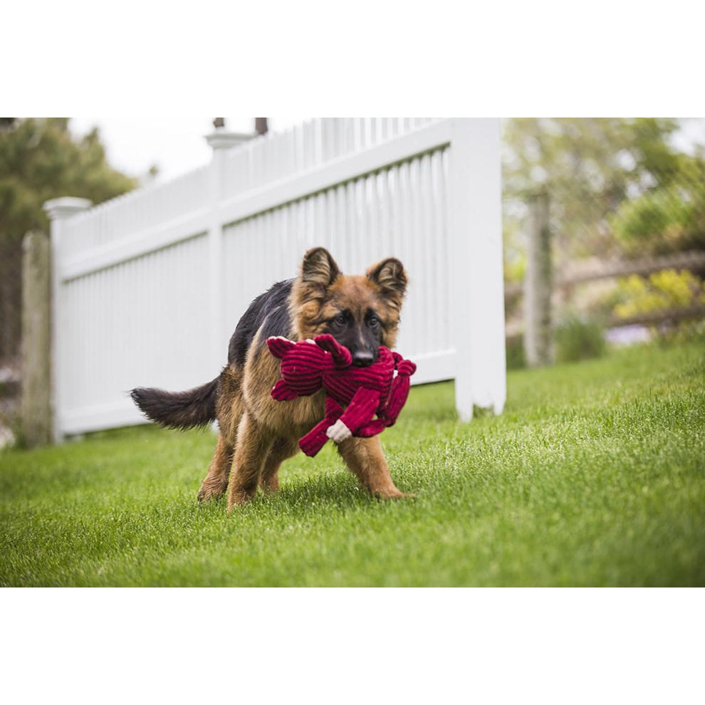 Hugglehounds Fox Knottie