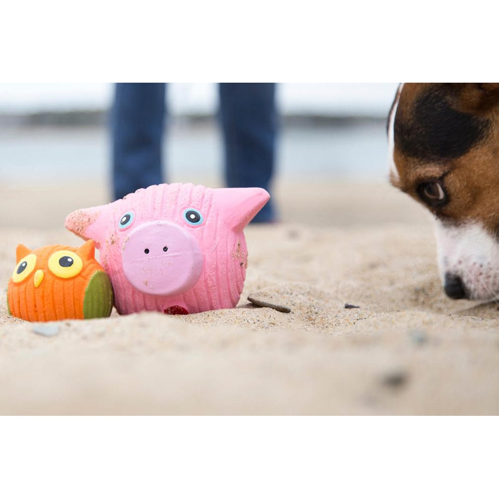 Hugglehounds Hamlet the Pig Ruff-Tex