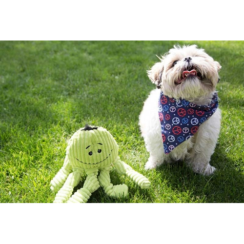 Hugglehounds Octo-Knotties, Citron