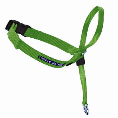 PetSafe Gentle Leader® Headcollar in CLAMSHELL - Quick Release