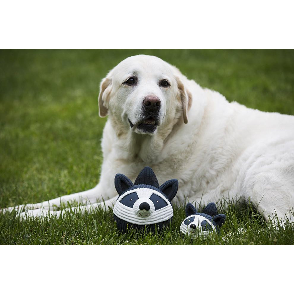 Hugglehounds Raccoon Ruff-Tex