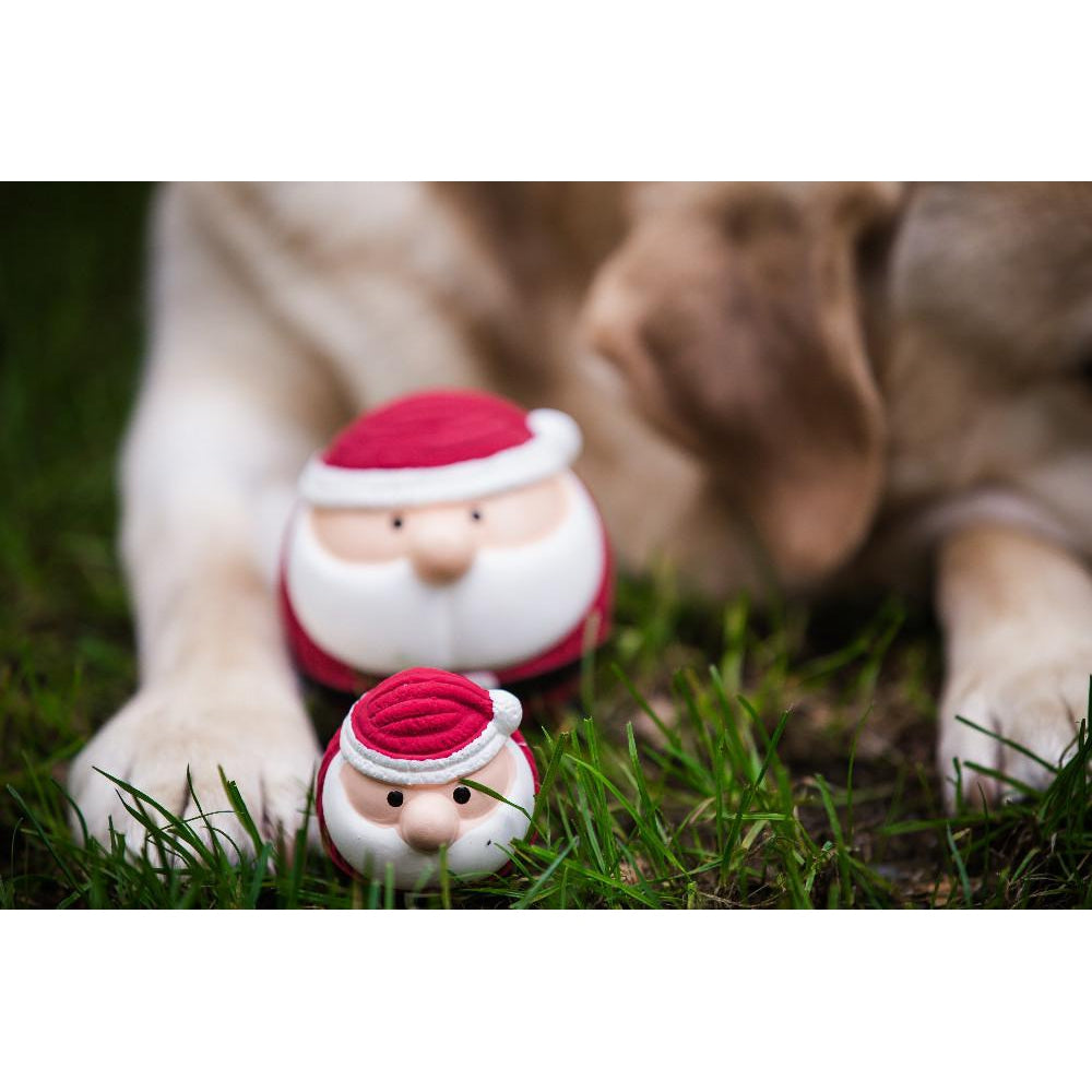 Hugglehounds Santa Ruff-Tex