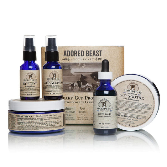 Adored Beast Leaky Gut Protocal