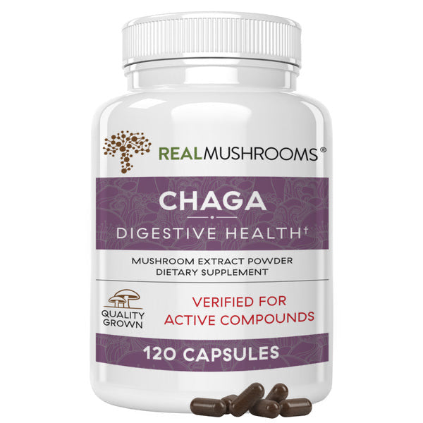 RealMushrooms - Chaga
