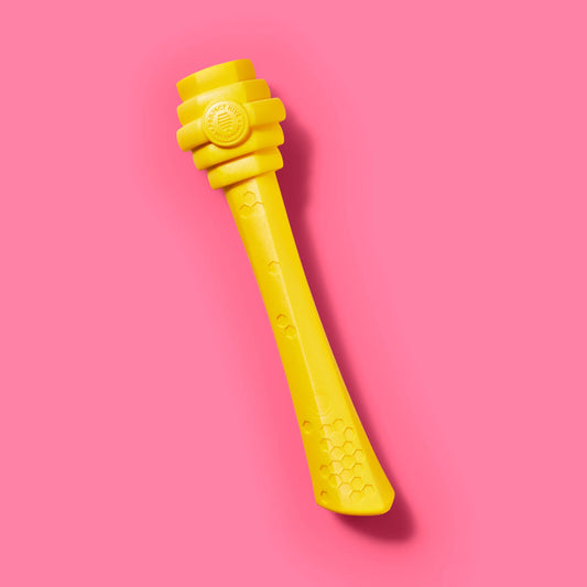 Project Hive Fetch Stick