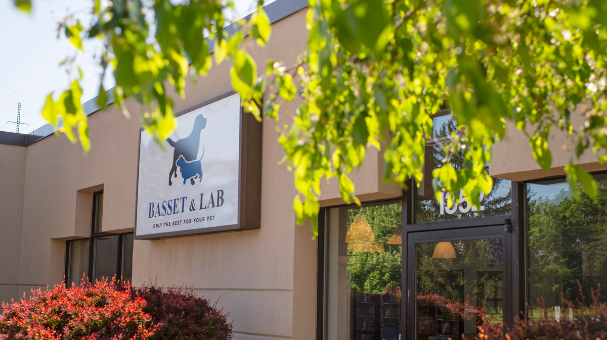 Basset And Lab Bistro | Balthazar Restaurant New York – SSKEHG