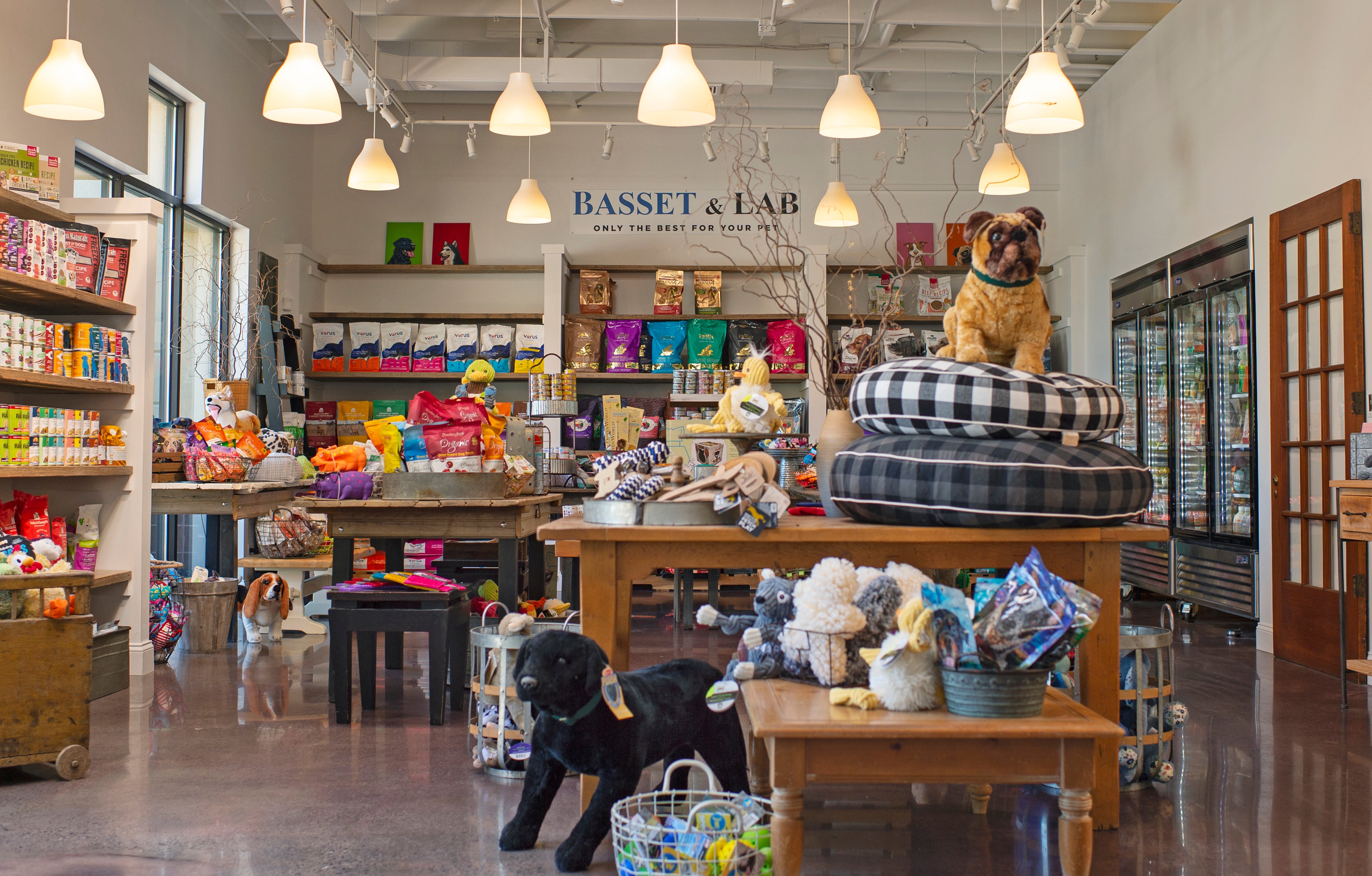 Basset Lab Lancaster s local pet food and supply boutique