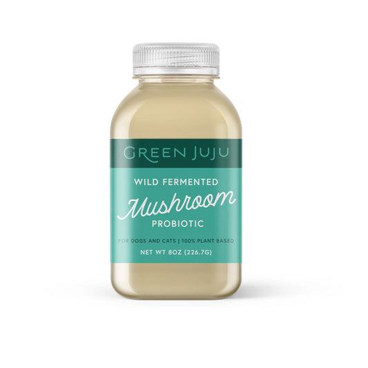 Green JuJu Wild Fermented Mushroom Probiotic