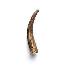 Tasman's Elk Antler Whole