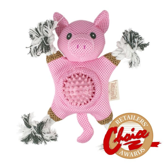 Territory 2 in 1 Pig Dog Toy