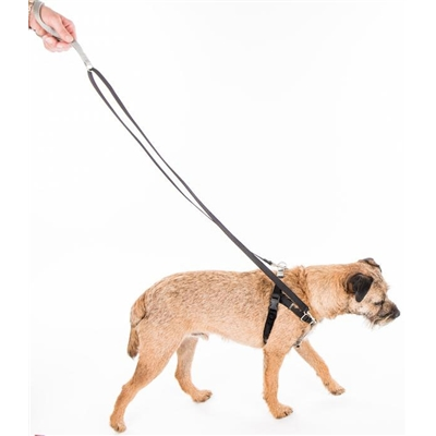 2 hounds hot sale design harness warranty