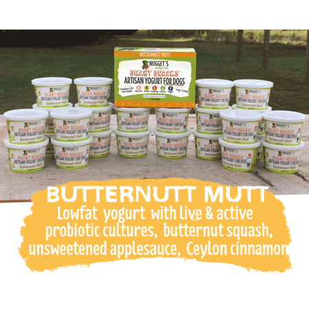 Nugget's Healthy Eats Dog Frozen Yogurt Butternut Mutt 3.5oz 4 pack
