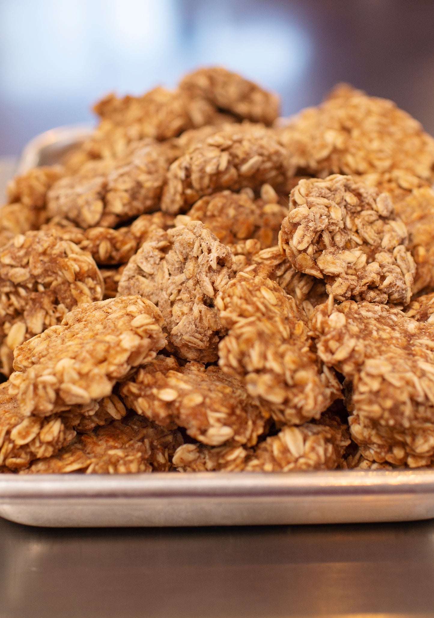 Apple Oatmeal Bites