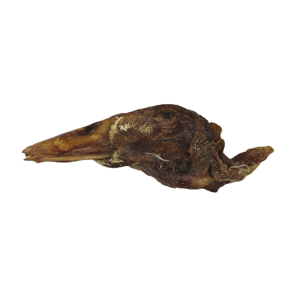 Vital Essentials Freeze-Dried Duck Heads BULK