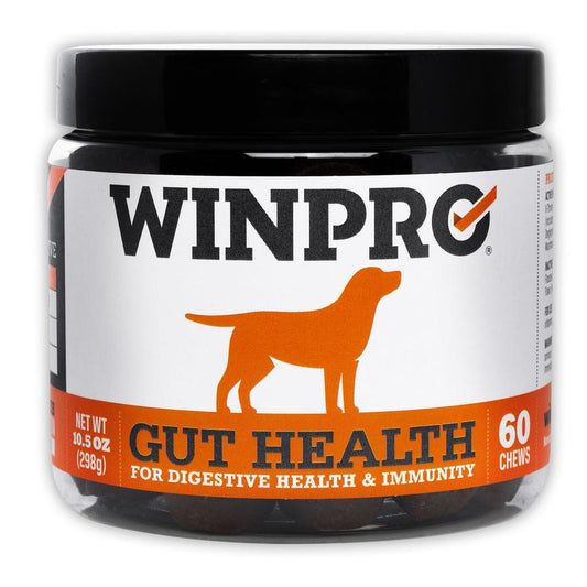 WinPro Gut Health for Digestive Health & Immunity