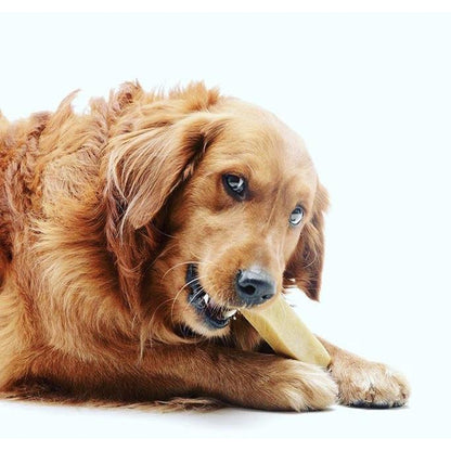 Himal Dog Treat