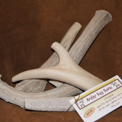 Peak Antler