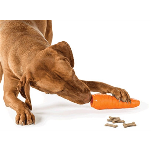 Planet Dog Orbee-Tuff® Carrot