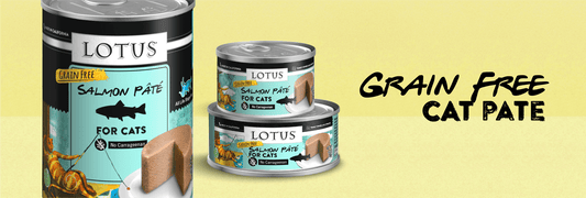Lotus Grain Free Salmon Pate'