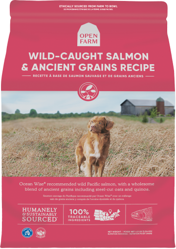Open Farm Wild Caught Salmon & Ancient Grains