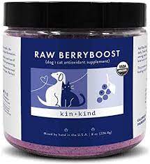 Kin and Kind Raw Berryboost Supplement